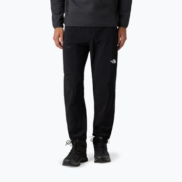 Spodnie softshell męskie The North Face Speedlight Regular black