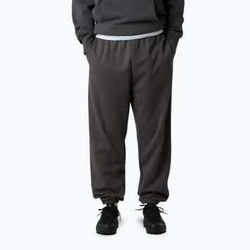Spodnie męskie The North Face Expedition Celebration Relaxed Jogger Reg anthracite grey