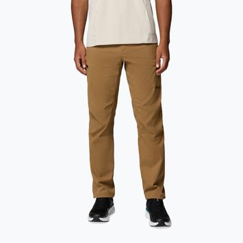 Spodnie trekkingowe męskie Columbia Cosmiques Pro Nylon delta