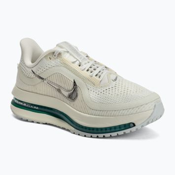 Buty do biegania damskie Nike Pegasus Premium sea glass/malachite/metallic silver