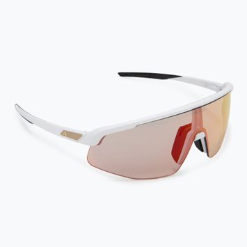 Okulary przeciwsłoneczne Alpina Turbo Pro QV white matt/ rainbow mirror