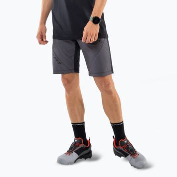 Spodenki trekkingowe męskie DYNAFIT Transalper Light Dynastretch magnet