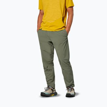 Spodnie trekkingowe męskie Salewa Pedroc 3 DST Light faded green