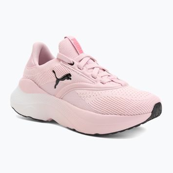 Buty do biegania damskie PUMA Softride Mayve rose mauve/puma black/sun struck