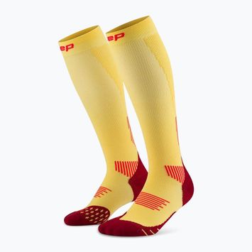 Skarpety kompresyjne męskie CEP Run Tall 5.0 marigold/burgundy