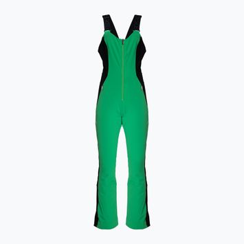 Spodnie narciarskie Descente Velche 19 bio green