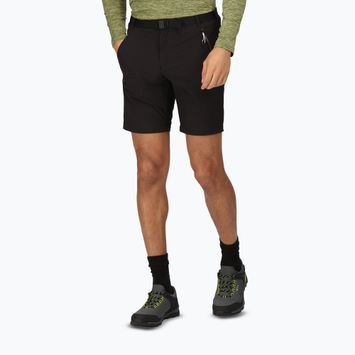 Spodenki trekkingowe męskie Regatta Xert Stretch III black