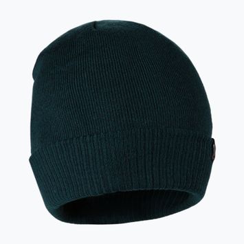 Czapka zimowa Pitbull Beanie Small Logo dark green