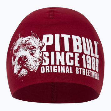 Czapka zimowa męska Pitbull Beanie Blood Dog burgundy