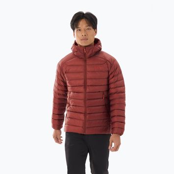 Kurtka męska Arc'teryx Cerium Hoody sequoia/ solaris