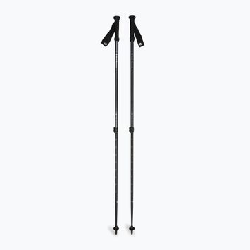 Kije trekkingowe Black Diamond Explorer 2 Trekking ink blue