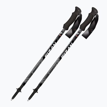 Kije trekkingowe Fizan Compact MS black