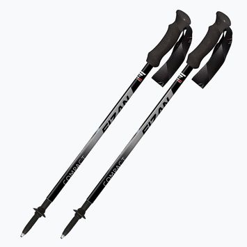 Kije trekkingowe Fizan Compact grey
