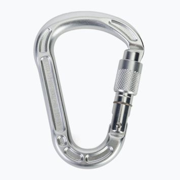 Karabinek Climbing Technology Concept SG silver/colour gate