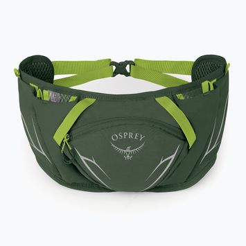 Saszetka nerka Osprey Duro Dyna 2 l seaweed green/limon