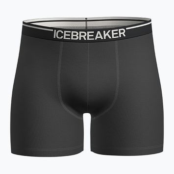 Bokserki termoaktywne męskie icebreaker Anatomica plume jet heather