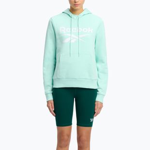 Bluza damska Reebok Identity Big Logo Fleece glitch aqua