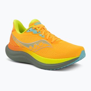 Buty do biegania męskie Saucony Triumph 23 vizigold/laurel