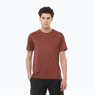 Koszulka trekkingowa męska Salomon Outline rum raisin