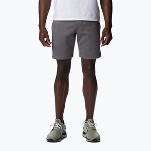 Spodenki trekkingowe męskie Columbia Logo Fleece city grey heather