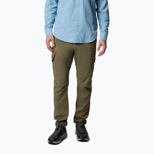 Spodnie trekkingowe męskie Columbia Skien Valley Cargo stone green