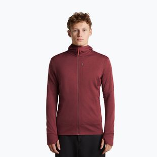 Bluza męska Icebreaker Merino 260 Quantum IV LS Zip Hoodie port/agate