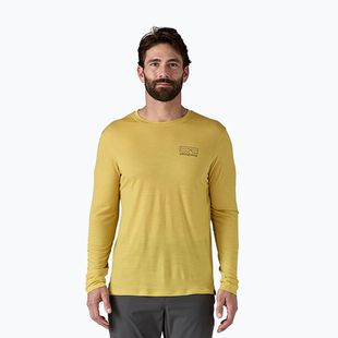 Longsleeve męski Patagonia Cap Cool Merino Blend Graphic fitz roy strata/bundle green