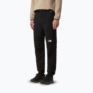 Spodnie trekkingowe męskie The North Face Diablo Reg Tapered black