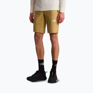 Spodenki trekkingowe męskie The North Face Lightning SHT khaki stone/npf