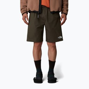 Spodenki męskie The North Face Limestone new taupe green