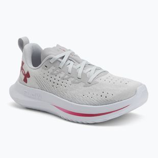 Buty do biegania damskie Under Armour Velociti 4 SE halo gray/mod gray/shaded fuchsia
