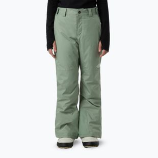 Spodnie narciarskie dziecięce The North Face Freedom Insulated slate moss