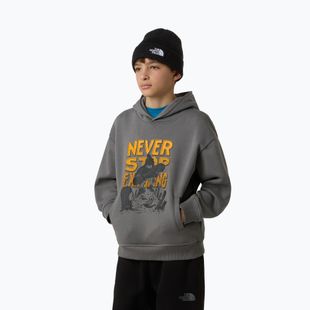 Bluza dziecięca The North Face Sports Oversized Hoodie Graphic smoked pearl