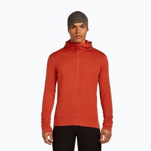 Bluza męska icebreaker Merino 260 Quantum IV Zip Hoodie agate