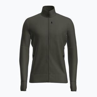 Bluza trekkingowa męska Icebreaker Merino 260 Quantum IV LS Zip dark loden