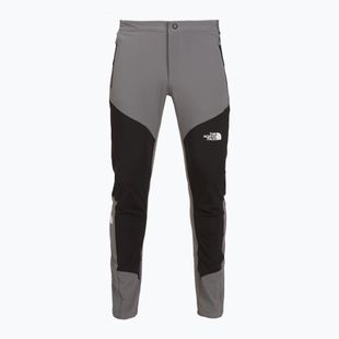 Spodnie trekkingowe męskie The North Face Felik Slim Tapered smoked pearl/tnf