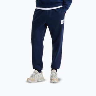 Spodnie męskie The North Face Evo Box Half Dome Regular Tappered summit navy