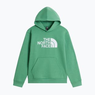 Bluza dziecięca The Noryh Face Essential Drew Peak Hoodie dimmed algae