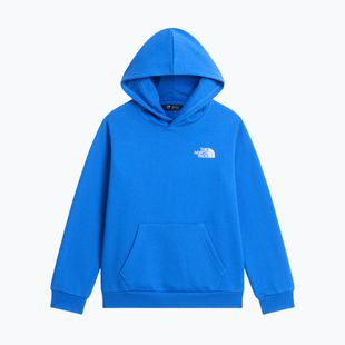 Bluza dziecięca The North Face Evolution Box NSE Pullover Hoodies active blue