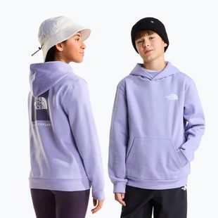 Bluza dziecięca The North Face Evolution Box NSE Pullover Hoodies pale plum