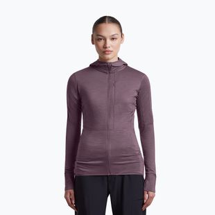 Bluza trekkingowa damska Icebreaker Merino 200 Realfleece Descender Half Zip Hoodie grey plum