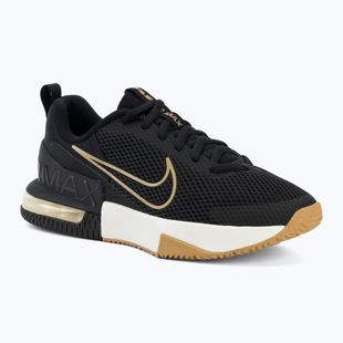 Buty treningowe męskie Nike Air Max Alpha Trainer 6 black/sail/parachute beige