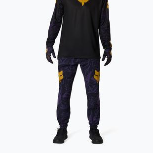 Spodnie rowerowe męskie Fox Racing Ranger Image Print plum