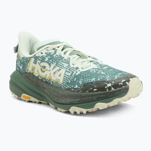 Buty do biegania męskie HOKA Speedgoat 6 GTX sa glass/fern