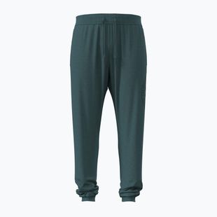 Spodnie męskie Under Armour Rival LW Graphic Jogger rack green/black