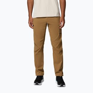 Spodnie trekkingowe męskie Columbia Cosmiques Pro Nylon delta