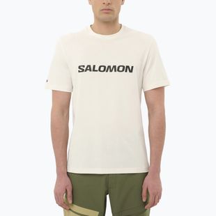 Koszulka męska Salomon Logo whisper white