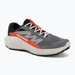 Buty do biegania męskie Salomon Alphaglide GTX castlerock/lunar rock