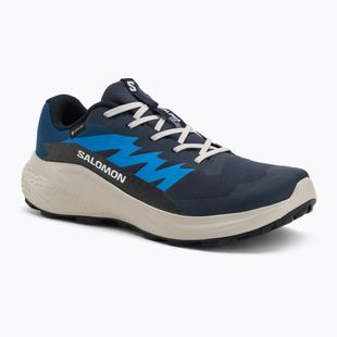 Buty do biegania męskie Salomon Alphaglide GTX blue night/lunar rock/french blue
