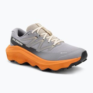 Buty do biegania męskie Salomon Ultra Flow 2 GTX gull/turmeric/white pepper
